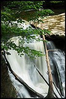 Great Falls with fallen trees, Bedford Reservation. Cuyahoga Valley National Park ( color)