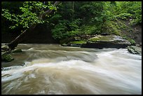 Tinkers Creek cascade, high flow, Bedford Reservation. Cuyahoga Valley National Park ( color)