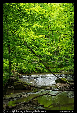 Cascade in forest, Deerlick Creek, Bedford Reservation. Cuyahoga Valley National Park (color)