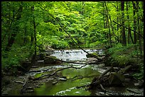 Deerlick Creek with cascade, Bedford Reservation. Cuyahoga Valley National Park ( color)