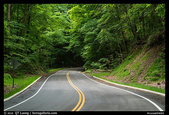 Road in forest. Cuyahoga Valley National Park, Ohio, USA.
