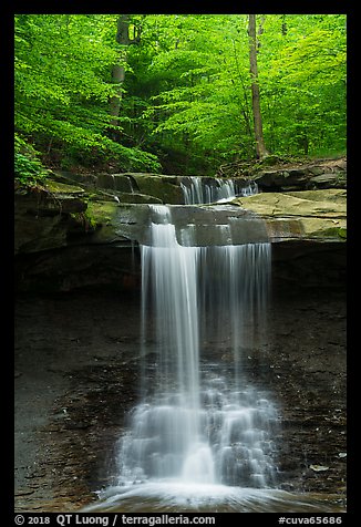 Blue Hen Falls dropping over ledge in summer. Cuyahoga Valley National Park (color)