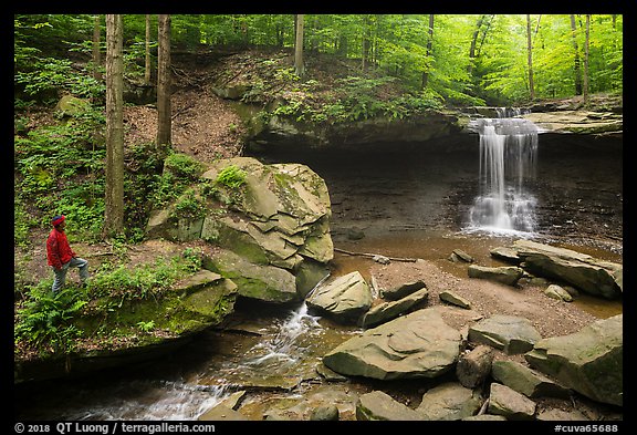Visitor looking, Blue Hen Falls. Cuyahoga Valley National Park, Ohio, USA.