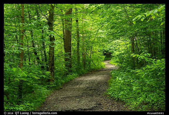 Trail. Cuyahoga Valley National Park (color)