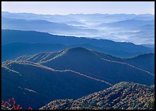 Forested and distant ridges in haze seen from Clingmans Dome, North Carolina. Great Smoky Mountains National Park, USA. (color)