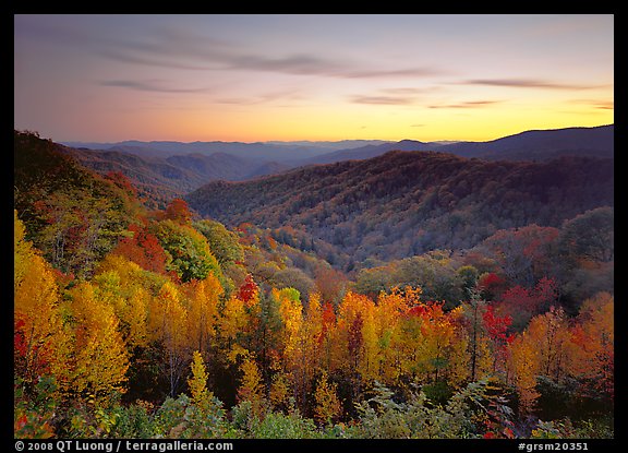 Row of trees, valley and ridges in fall color at sunset, North Carolina. Great Smoky Mountains National Park (color)