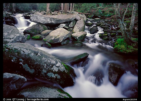 Stream, boulders, and trees, Roaring Fork, Tennessee. Great Smoky Mountains National Park, USA.