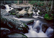 Stream, boulders, and trees, Roaring Fork, Tennessee. Great Smoky Mountains National Park, USA. (color)