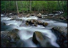 Confluence of the Little Pigeon Rivers, Tennessee. Great Smoky Mountains National Park ( color)