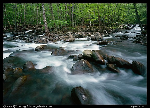Confluence of the Middle Prong of the Little Pigeon River, Tennessee. Great Smoky Mountains National Park (color)