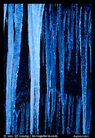 Icicles close-up, Tennessee. Great Smoky Mountains National Park, USA.