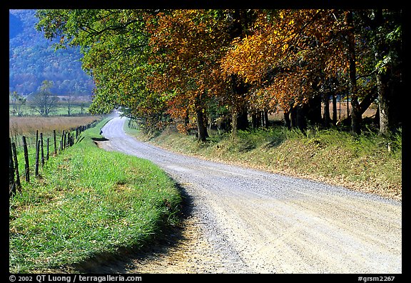 Gravel road in autumn, Cades Cove, Tennessee. Great Smoky Mountains National Park, USA.