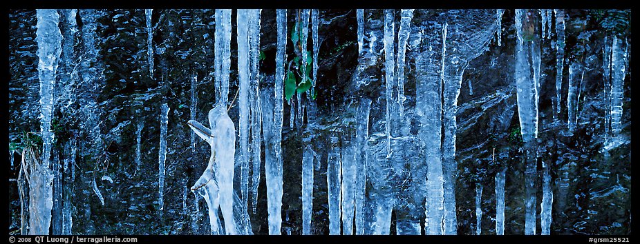 Close-up of icicle formation in winter. Great Smoky Mountains National Park (color)