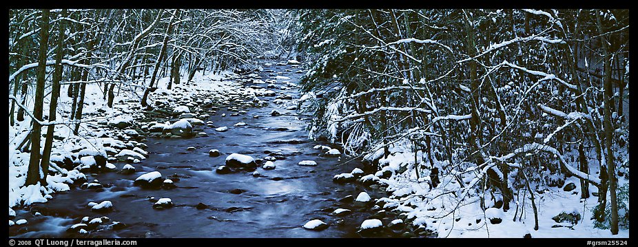 Stream in wintry forest. Great Smoky Mountains National Park (color)