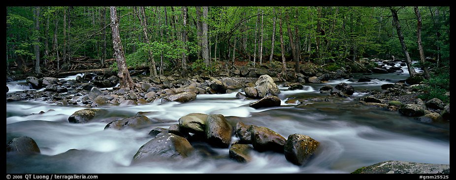 Stream flowing over boulders and spring forest. Great Smoky Mountains National Park (color)