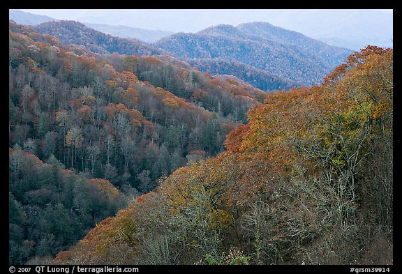 Ridges covered with deciduous trees in fall, North Carolina. Great Smoky Mountains National Park, USA.