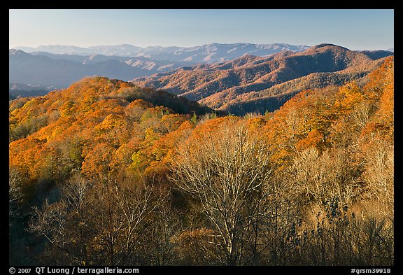 Mountains in autumn foliage, early morning, North Carolina. Great Smoky Mountains National Park, USA.