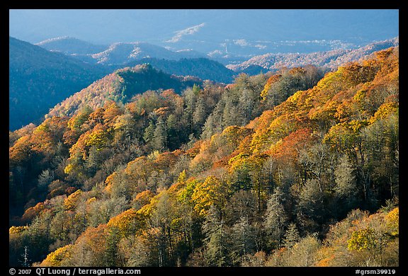 Hills covered with trees in autumn foliage, early morning, North Carolina. Great Smoky Mountains National Park, USA.