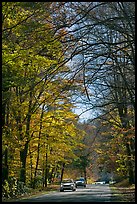 Cars on main park road with fall foliage, North Carolina. Great Smoky Mountains National Park, USA.