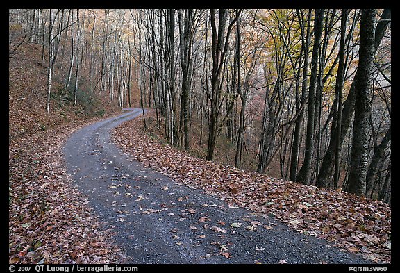 Balsam Mountain Road in autumn forest, North Carolina. Great Smoky Mountains National Park, USA.