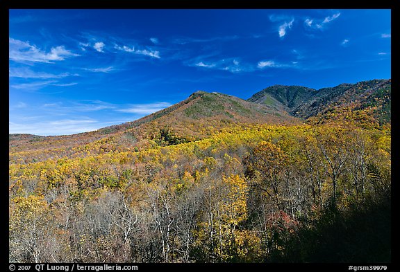 Slopes and hills in fall foliage with mountain behind, Tennessee. Great Smoky Mountains National Park, USA.