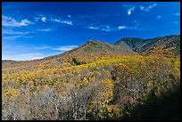 Slopes and hills in fall foliage with mountain behind, Tennessee. Great Smoky Mountains National Park, USA.