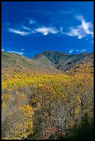 Mount Le Conte and slopes in autumn colors, Tennessee. Great Smoky Mountains National Park, USA.