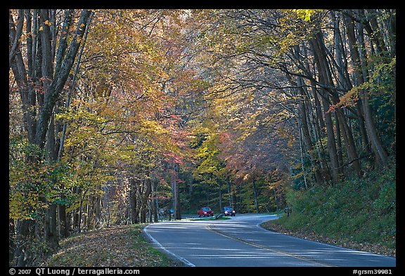 Newfoundland Gap road during the fall, Tennessee. Great Smoky Mountains National Park (color)