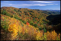Hillsides covered with trees in autumn color near Newfound Gap, afternoon, North Carolina. Great Smoky Mountains National Park, USA.