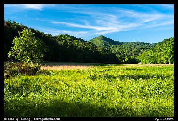 Meadow, Cataloochee Valley, North Carolina. Great Smoky Mountains National Park (color)