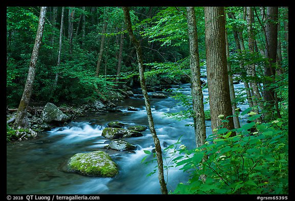 Little River, Elkmont, Tennessee. Great Smoky Mountains National Park, USA.