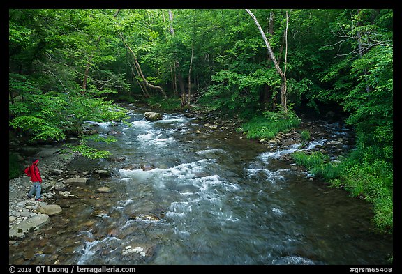 Visitor Looking, Little River, Tennessee. Great Smoky Mountains National Park, USA.