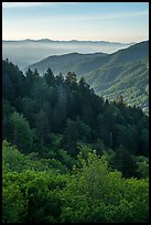 Ridges from Newfound Gap in summer, North Carolina. Great Smoky Mountains National Park ( color)
