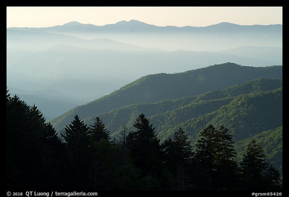 Ridges from Newfound Gap, early morning, North Carolina. Great Smoky Mountains National Park (color)