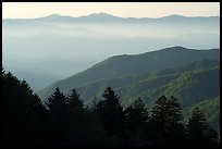 Ridges from Newfound Gap, early morning, North Carolina. Great Smoky Mountains National Park ( color)