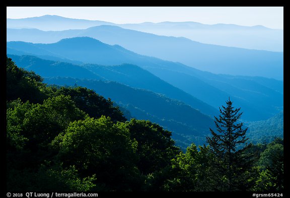 Receding valley and stacked ridges, early morning, North Carolina. Great Smoky Mountains National Park, USA.