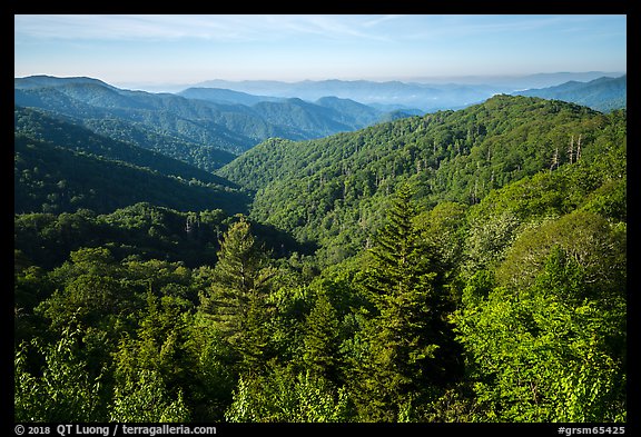 View from Deep Creek Overlook in summer, North Carolina. Great Smoky Mountains National Park (color)