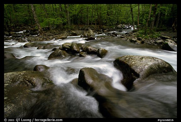 Confluence of the Little Pigeon Rivers, Tennessee. Great Smoky Mountains National Park, USA.