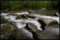 Confluence of the Little Pigeon Rivers, Tennessee. Great Smoky Mountains National Park, USA.