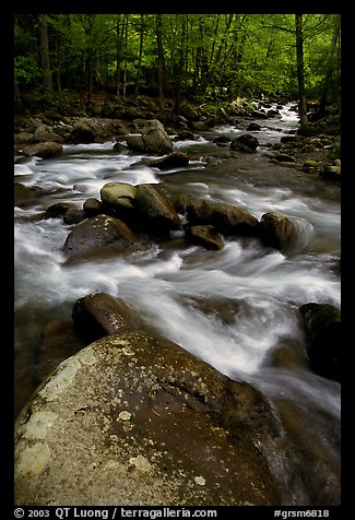 Boulders in confluence of rivers, Greenbrier, Tennessee. Great Smoky Mountains National Park, USA.