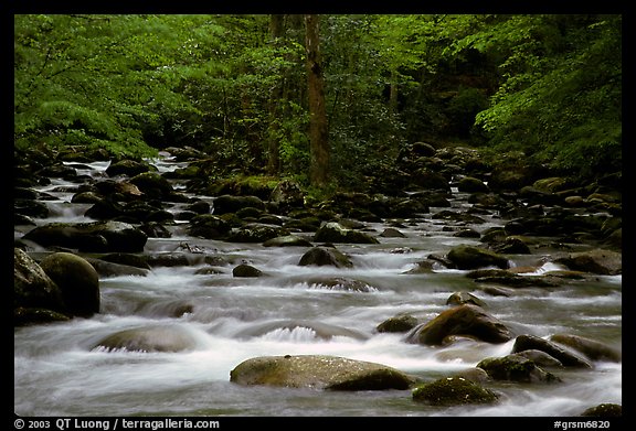 Middle Prong of the Little Pigeon River, Tennessee. Great Smoky Mountains National Park, USA.