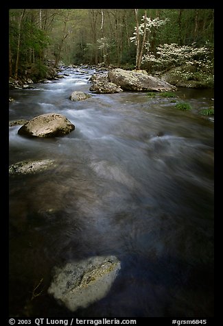 Flowing water, Middle Prong of the Little River, Tennessee. Great Smoky Mountains National Park, USA.