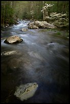 Flowing water, Middle Prong of the Little River, Tennessee. Great Smoky Mountains National Park, USA. (color)