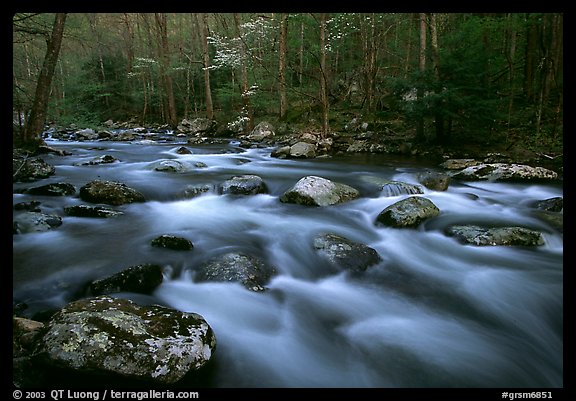 Water flowing over boulders in the spring, Treemont, Tennessee. Great Smoky Mountains National Park, USA.