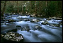 Water flowing over boulders in the spring, Treemont, Tennessee. Great Smoky Mountains National Park, USA. (color)