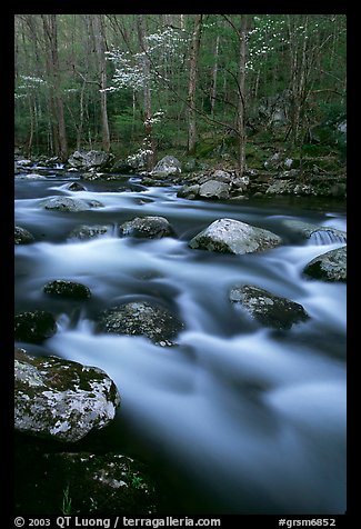 Boulders in flowing water, Middle Prong of the Little River, Tennessee. Great Smoky Mountains National Park, USA.