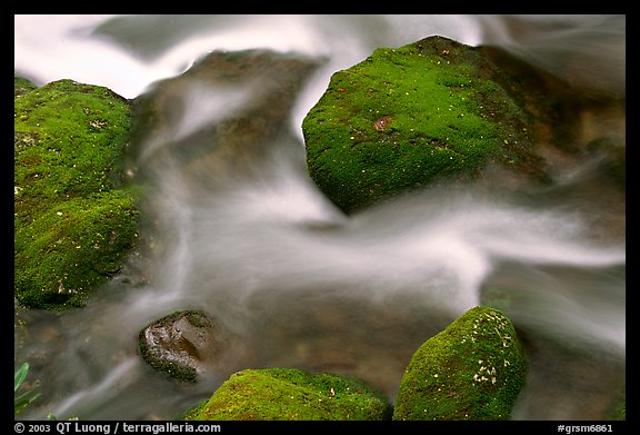 Mossy boulders and flowing water, Roaring Fork River, Tennessee. Great Smoky Mountains National Park, USA.