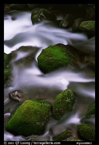 Mossy boulders and silky water, Roaring Fork River, Tennessee. Great Smoky Mountains National Park (color)