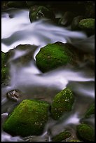 Mossy boulders and silky water, Roaring Fork River, Tennessee. Great Smoky Mountains National Park, USA. (color)