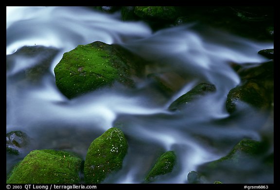 River flow and boulders covered with moss, Tennessee. Great Smoky Mountains National Park (color)